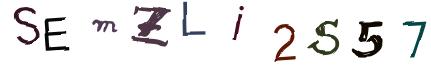 Obrázkové CAPTCHA