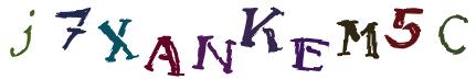 Obrázkové CAPTCHA