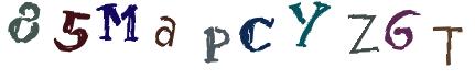 Obrázkové CAPTCHA