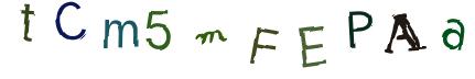 Obrázkové CAPTCHA
