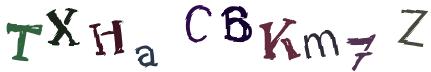 Obrázkové CAPTCHA