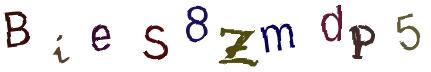Obrázkové CAPTCHA