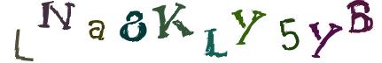 Obrázkové CAPTCHA
