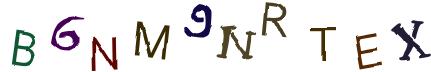 Obrázkové CAPTCHA