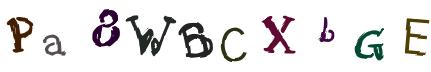 Obrázkové CAPTCHA